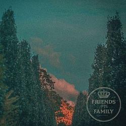 Foto van Friends of the family - cd (8717953190611)