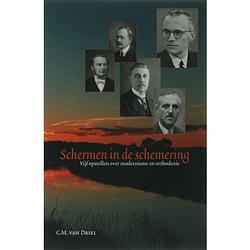 Foto van Schermen in de schemering - passage-reeks