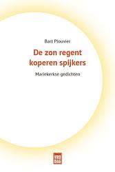 Foto van De zon regent koperen spijkers - bart plouvier - ebook (9789464340112)