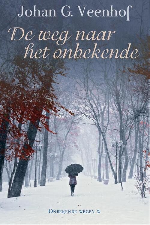 Foto van De weg naar het onbekende - johan g. veenhof - ebook (9789020533217)