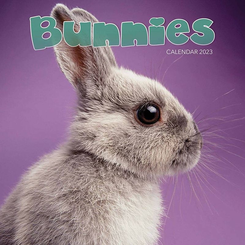 Foto van Bunnies kalender 2023 mini