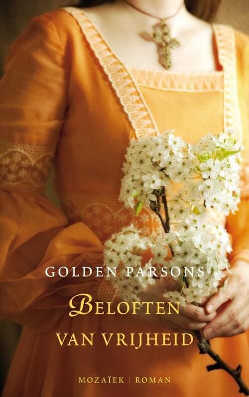 Foto van Beloften van vrijheid - golden parsons - ebook (9789023914358)