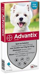 Foto van Advantix hond 100/500 spot-on solution