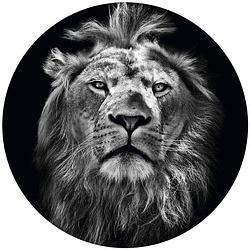Foto van Wizard+genius lion vlies fotobehang 140x140cm rond