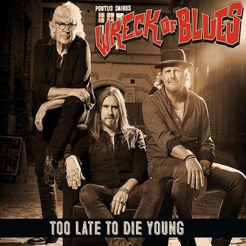 Foto van Too late to die young - lp (5055664100523)