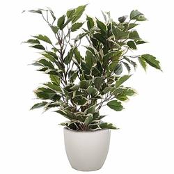 Foto van Groen/witte ficus kunstplant 40 cm met plantenpot taupe d13.5 en h12.5 cm - kunstplanten