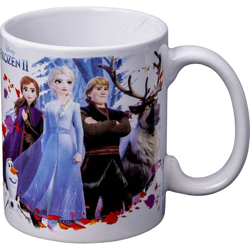 Foto van Mok frozen 2 gruppe special