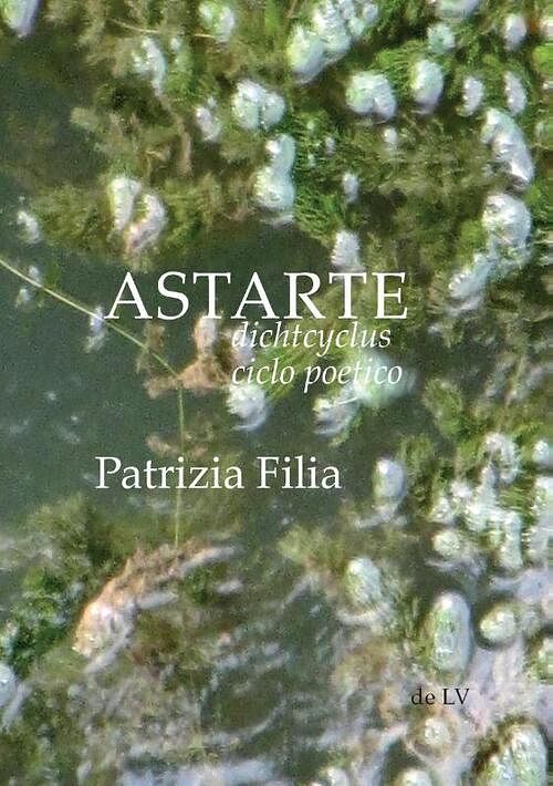 Foto van Astarte - patrizia filia - paperback (9789082623246)