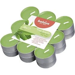 Foto van Bolsius geurtheelichtjes true scent 18 stuks 4 branduren per theelichtje green tea