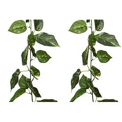 Foto van 2x stuks groene klimop kunstplant slinger 180 cm - kunstplanten