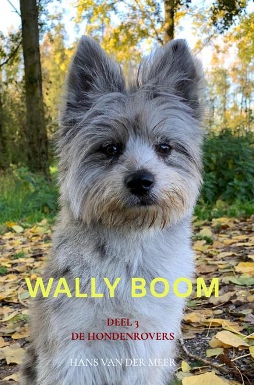 Foto van Wally boom - hans van der meer - ebook