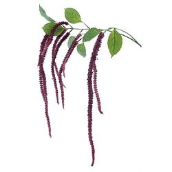 Foto van Amaranthus spray lucy purple 133 cm kunstbloemen