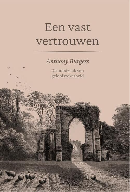 Foto van Een vast vertrouwen - anthony burgess - hardcover (9789087188429)