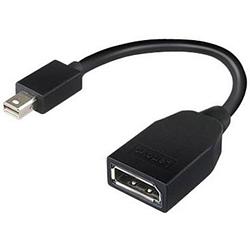 Foto van Lenovo 4x90l13971 adapter [1x mini-displayport stekker - 1x displayport bus] zwart