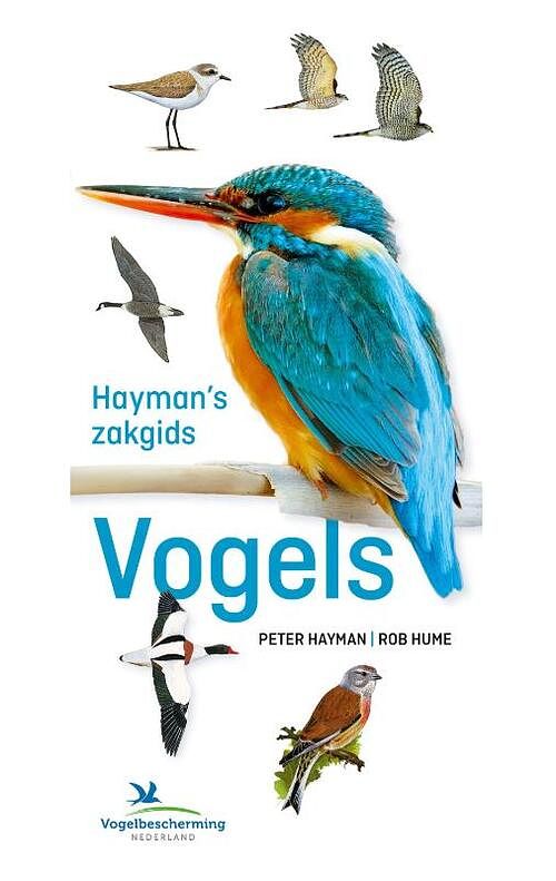 Foto van Hayman's zakgids vogels - peter hayman, rob hume - paperback (9789043925396)