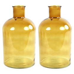 Foto van 2x stuks countryfield vaas - goudgeel - glas - apotheker fles vorm - d17 x h30 cm - vazen