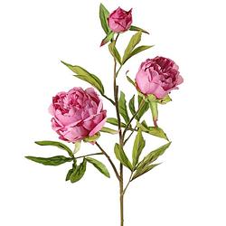 Foto van Topart kunstbloem pioenroos spring dream -a roze - 73 cm - kunststof - kunstbloemen