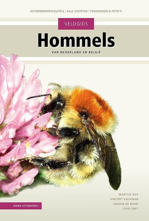 Foto van Veldgids hommels - john smit, martijn kos, vincent kalkman - hardcover (9789050118996)