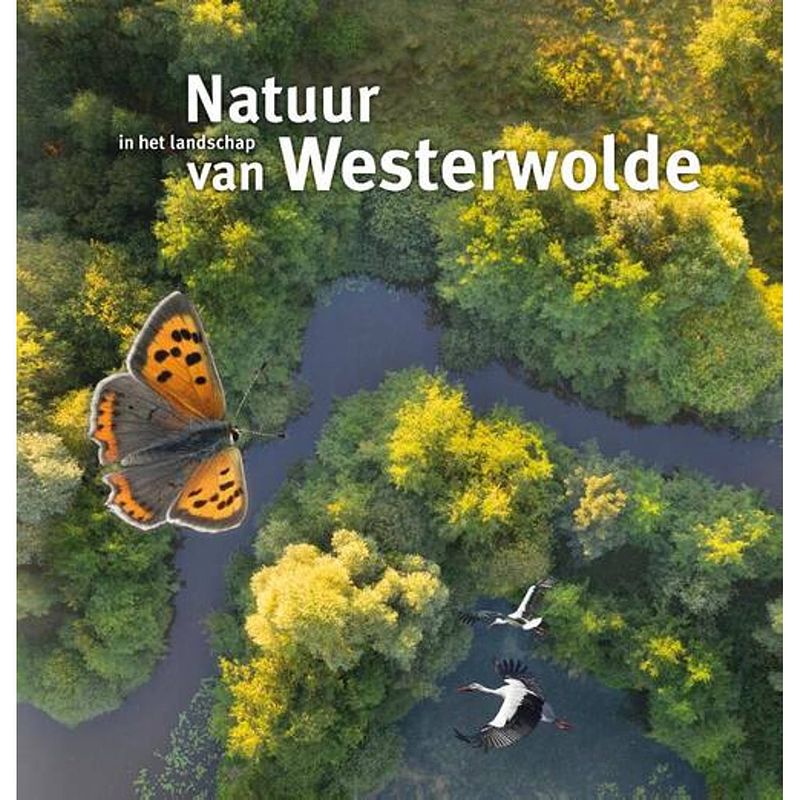 Foto van Natuur in het landschap van westerwolde