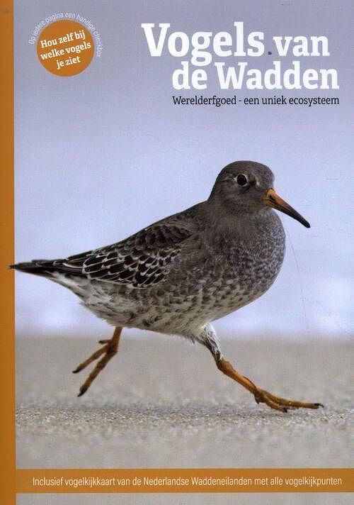 Foto van Vogels van de wadden - marc plomp, roy de haas - paperback (9789061095644)