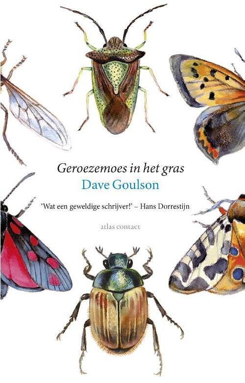 Foto van Geroezemoes in het gras - dave goulson - ebook (9789045028422)