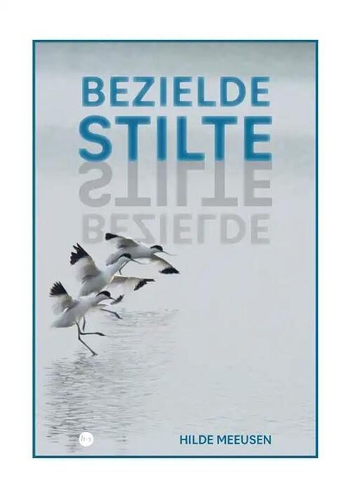 Foto van Bezielde stilte - hilde meeusen - paperback (9789464897043)