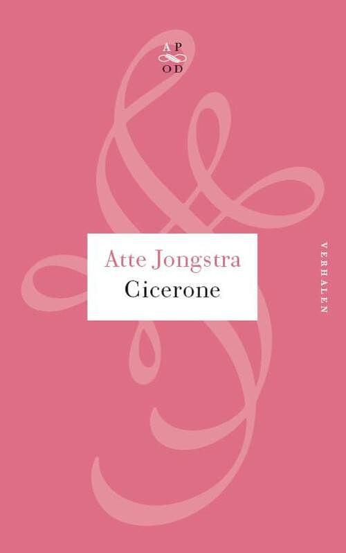 Foto van Cicerone - atte jongstra - ebook (9789029574730)