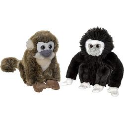 Foto van Apen serie zachte pluche knuffels 2x stuks - squirrel aap en gibbon aap van 18 cm - knuffeldier