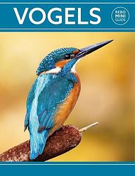 Foto van Rebo mini guide - vogels - dan brown - paperback (9789036637947)