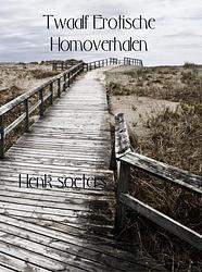 Foto van Twaalf erotische homoverhalen - henk soeters - ebook (9789463183727)