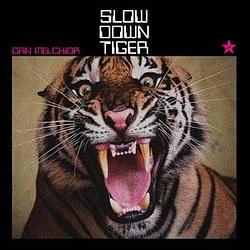 Foto van Slow down tiger - lp (2092000142185)