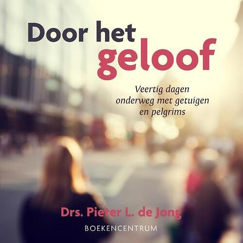 Foto van Door het geloof - pieter l. de jong - ebook (9789023979326)