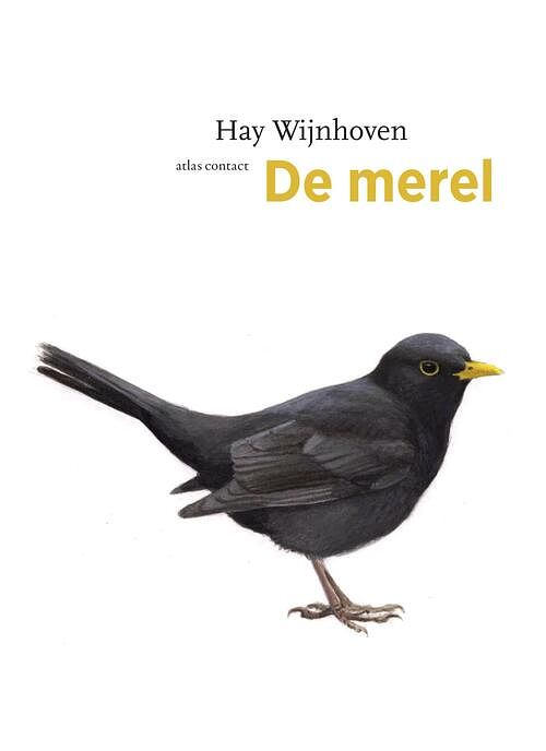 Foto van De merel - hay wijnhoven - ebook (9789045033969)