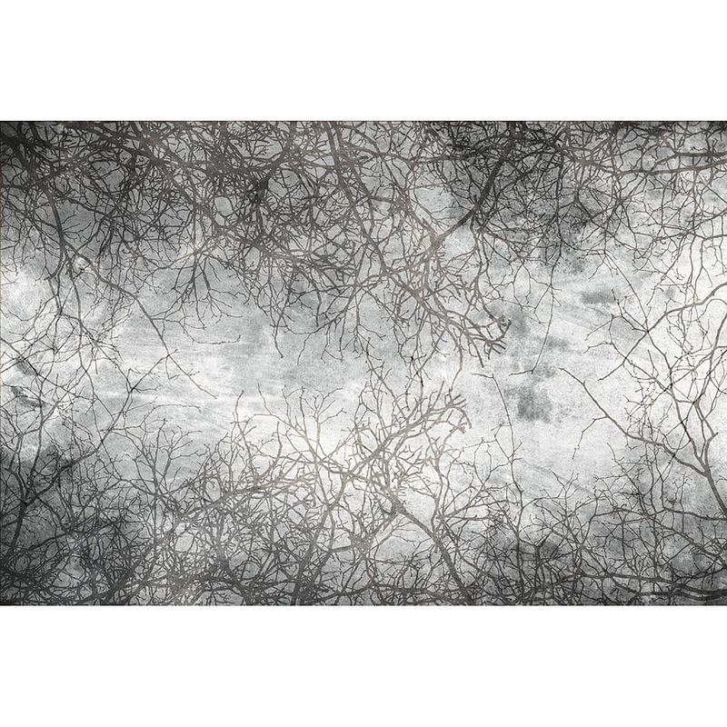 Foto van Dimex branch abstract fotobehang 375x250cm 5-banen