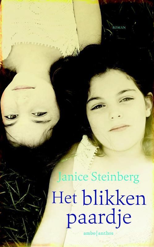 Foto van Het blikken paardje - janice steinberg - ebook (9789047204602)