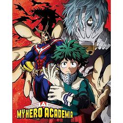 Foto van Pyramid my hero academia heroes nemesis poster 40x50cm