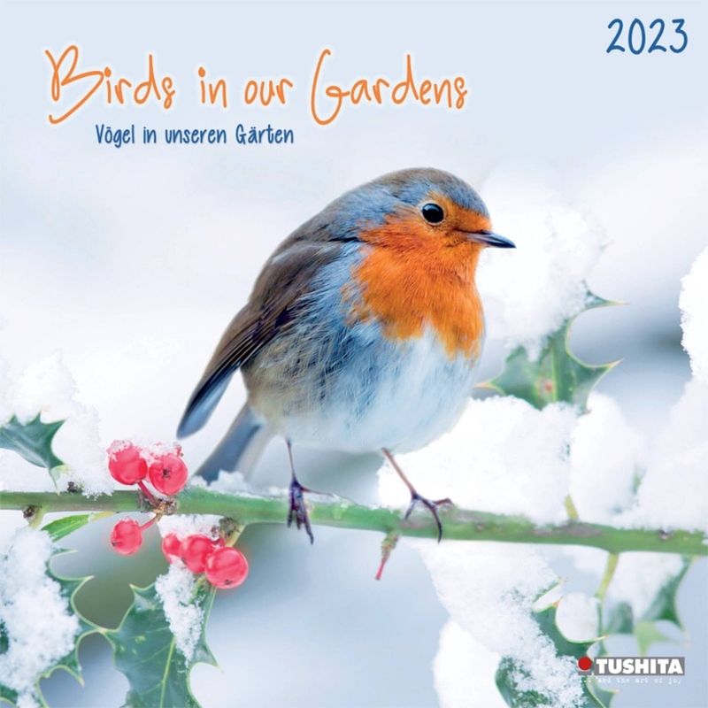 Foto van Birds in our garden kalender 2023