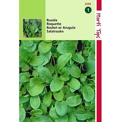 Foto van 2 stuks - hortitops - rucola coltivata eruca vesicaria sativa