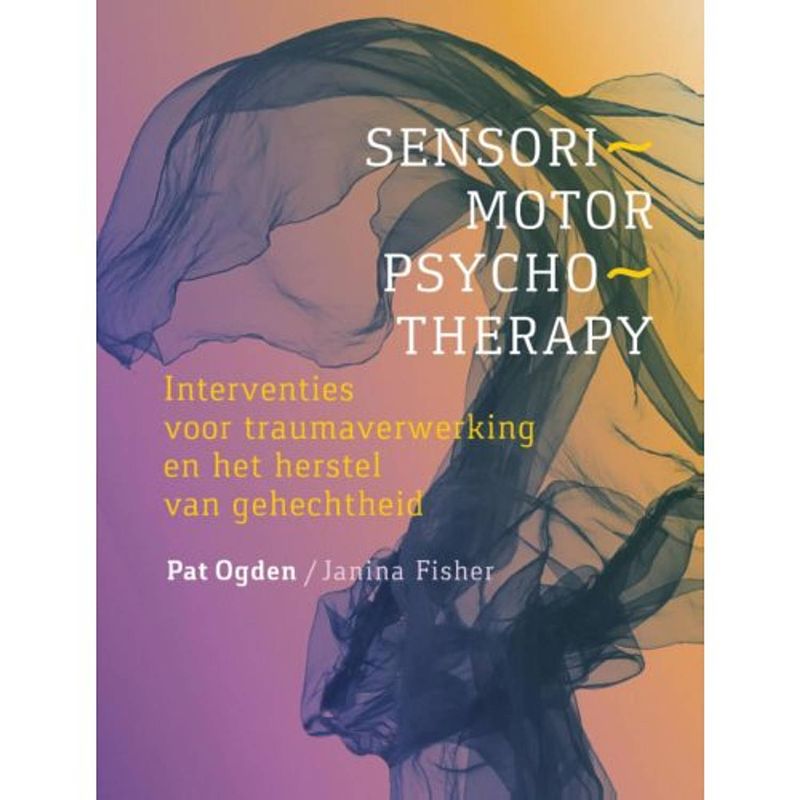 Foto van Sensorimotor psychotherapy