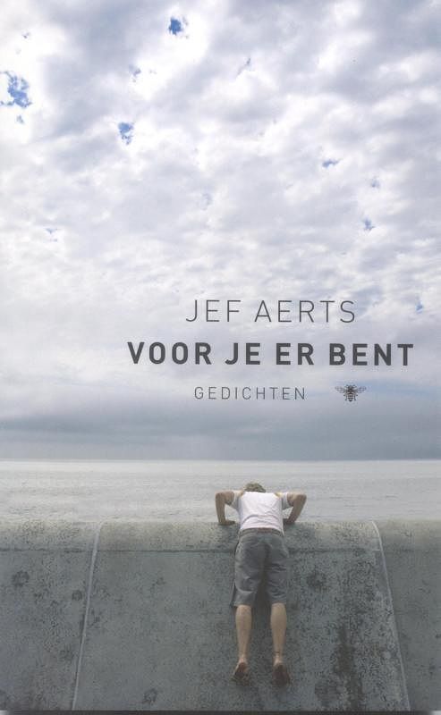 Foto van Voor je er bent - jef aerts - ebook (9789023469926)