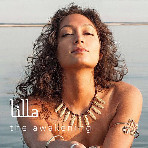 Foto van The awakening - cd (0888174425290)