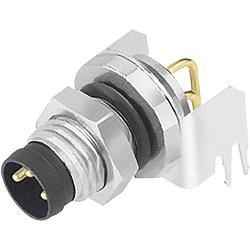 Foto van Binder 09 3425 82 05 sensor/actuator steekconnector m8 aantal polen: 5 stekker, haaks 20 stuk(s)