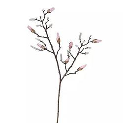 Foto van Buitengewoon de boet - magnolia tak beauty 86 cm kunstplant