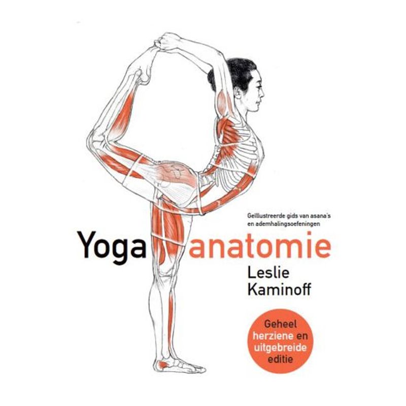 Foto van Yoga anatomie