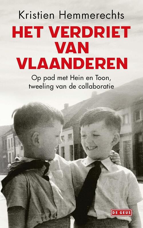 Foto van Het verdriet van vlaanderen - kristien hemmerechts - ebook (9789044540901)