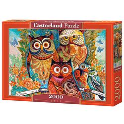 Foto van Castorland puzzel uilen - 2000 stukjes