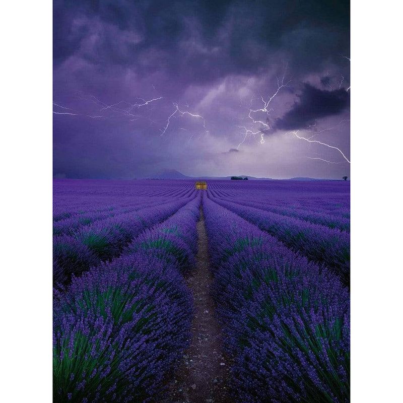 Foto van Wizard+genius field of lavender vlies fotobehang 192x260cm 4-banen