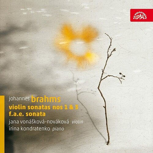 Foto van Brahms: violin sonatas nos. 1 & 3 - cd (0099925417024)