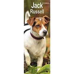 Foto van Jack russell terrier kalender 2023 slimline