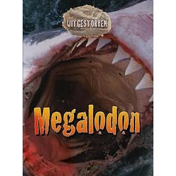 Foto van Megalodon - uitgestorven